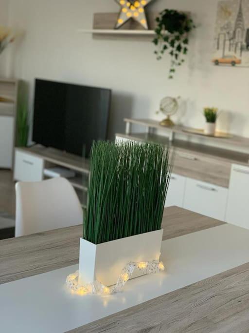 Pourquoi Notre T3 Avec Parking Est Pour Vous ? Apartment *